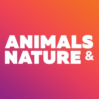  canal de Animals & Nature - beautiful wallpapers 