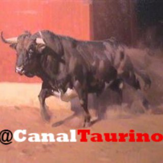  grupo de Canal Taurino 