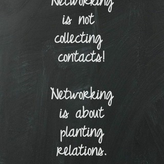  grupo  CHAMPIONS team en castellano