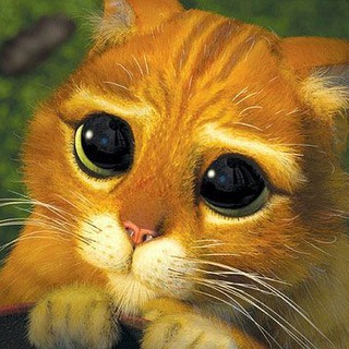 imagen del canal  Funny Animals 