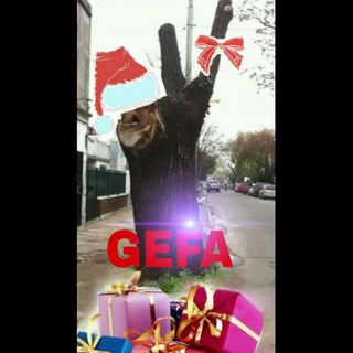 imagen del canal de GEFA 