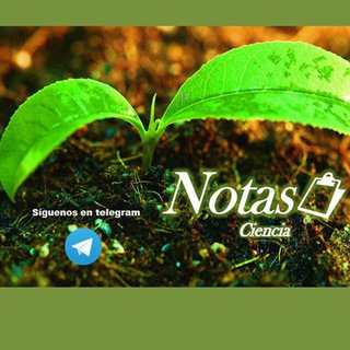  canal de Notas📋 en Castellano