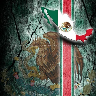 logo del canal de REGIONAL MEXICANO 🇲🇽 en castellano