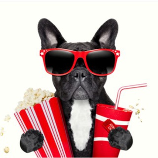  grupo  @Taquilla de series 