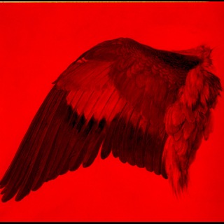  grupo de Ala izquierda 