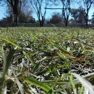 imagen de perfil del grupo de Anécdotas re contadas 