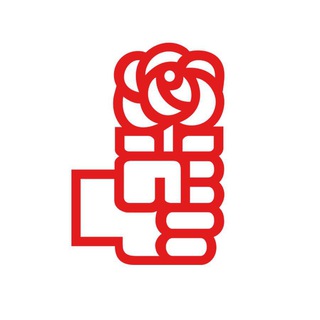 imagen de perfil del canal  PSOE en Castellano