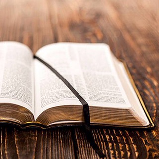 logo del grupo  LaPalabraDeVida.org en Español