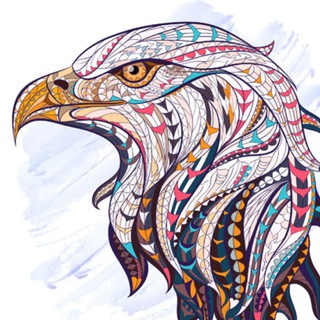  grupo de EagleBets 🦅 