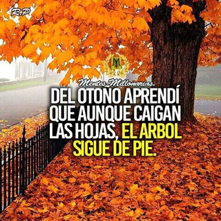  canal de Frases de amor en castellano