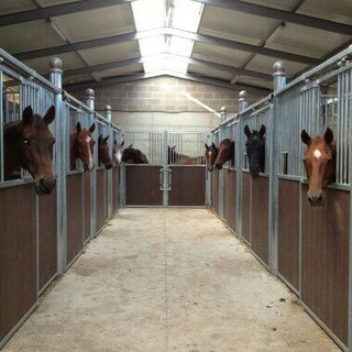  canal de Horses Bets 🏇|| FREE 