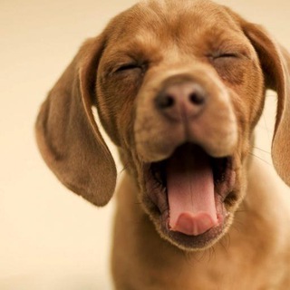 logo del grupo de Humor(es) en español