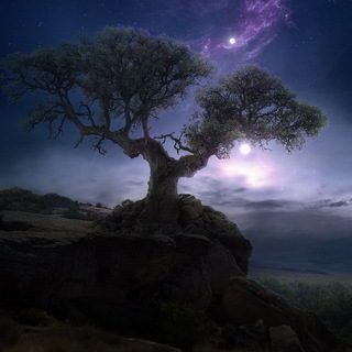  canal de Daydreamer en español