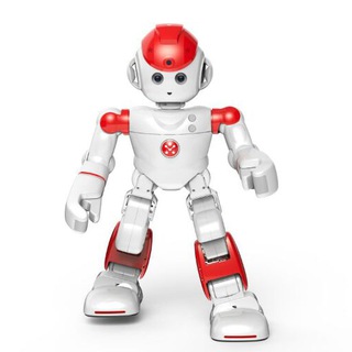  canal  Bots y canales 