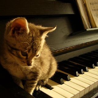 logo del canal  Musica Clasica 