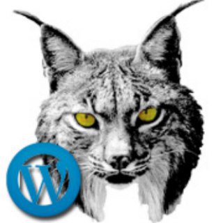  canal de El Rincón del Padawan 